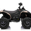 CAN AM QUADBIKE - 24V - 4WD - LEATHER SEAT / EVA - MP3 - KHAKI