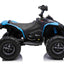 CAN AM QUADBIKE - 24V - 4WD - LEATHER SEAT / EVA - MP3 - BLUE