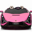 LAMBORGHINI SIAN - 24V - 2 SEATER - 4WD - LEATHER / EVA - PINK