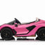 LAMBORGHINI SIAN - 24V - 2 SEATER - 4WD - LEATHER / EVA - PINK